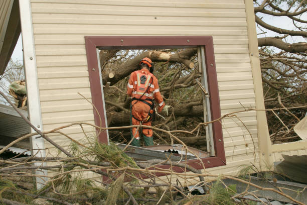 Best Storm Damage Tree Cleanup  in Bensley, VA